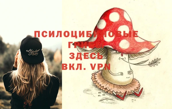 меф Ладушкин