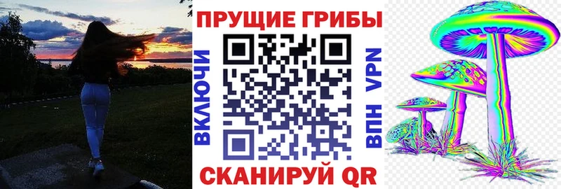 Галлюциногенные грибы Psilocybe  Иваново 