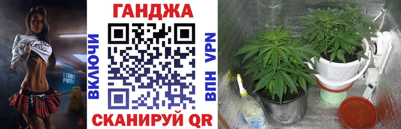 Шишки марихуана THC 21% Иваново